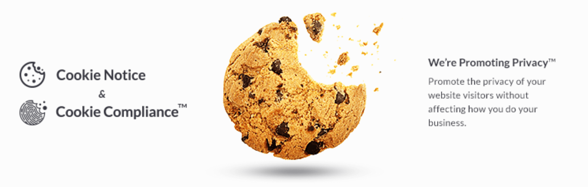 cookie notice - thumbnail