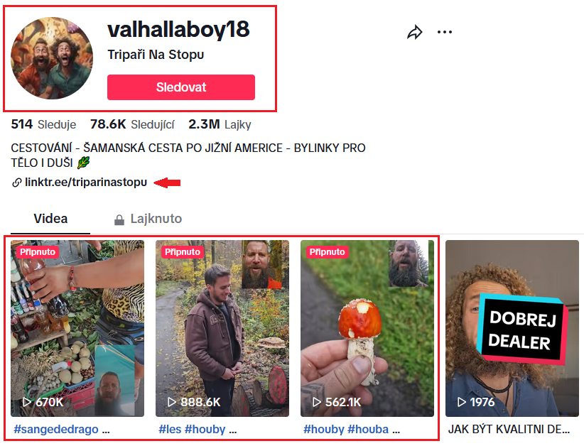 TikTok profil